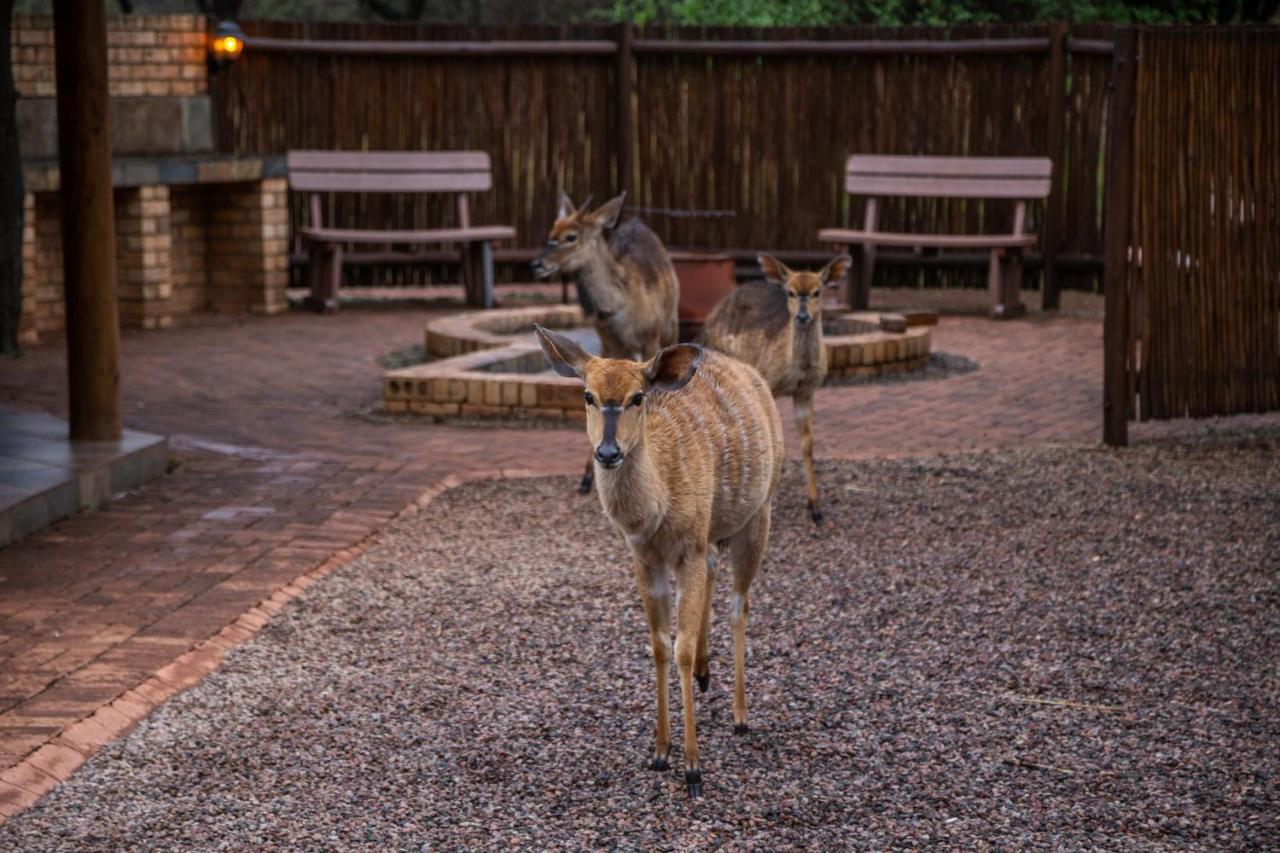 Sondela Nature Reserve & Spa Chalets Bela-Bela Ngoại thất bức ảnh